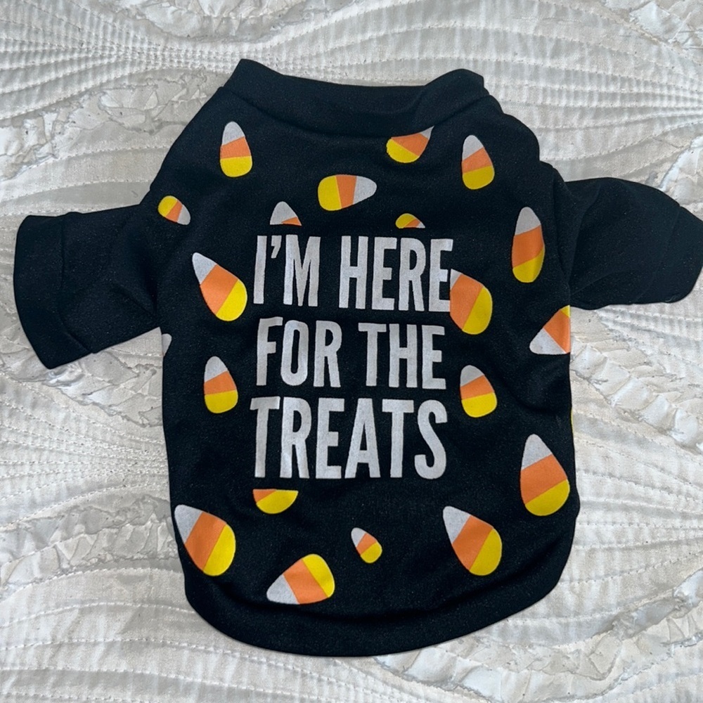 Halloween Outfit for Small Dog - Picture 1 of 4